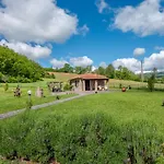 Dilia By Interhome * Gabellino